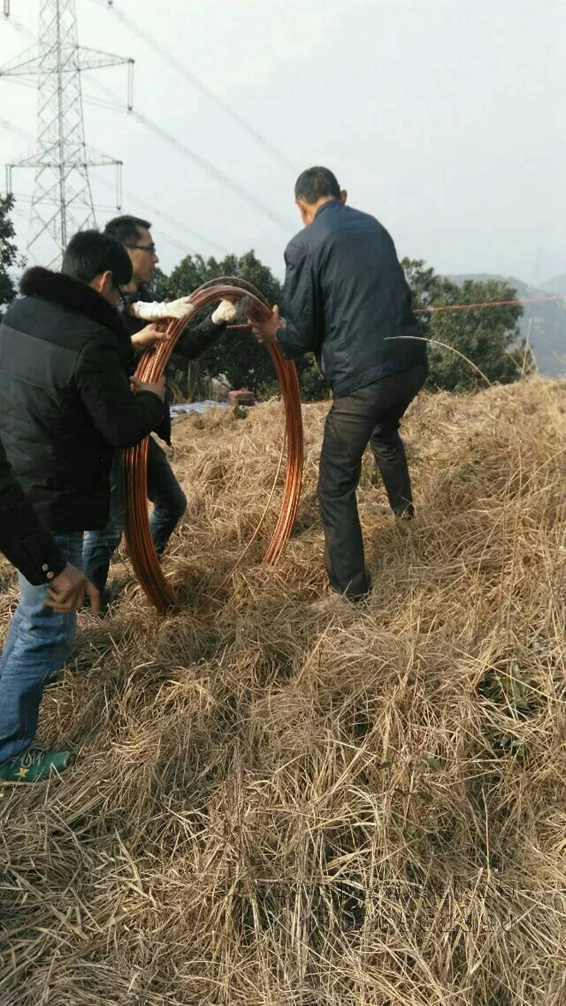 组合式铜包钢接地极