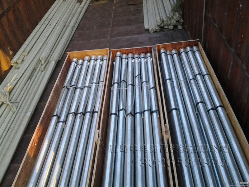 不锈钢离子接地棒